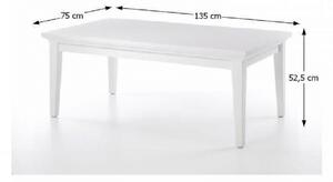 TEMPO Konferenční stolek, bílá, PARIS 79872