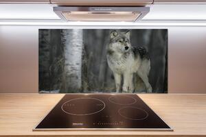 Dekorační panel sklo Šedý vlk pl-pksh-100x50-f-57875164