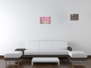 Obraz na plátně Krásné levandule Rozměry: 30 x 30 cm