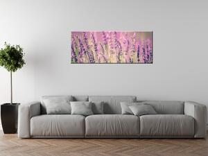 Obraz na plátně Krásné levandule Rozměry: 30 x 30 cm