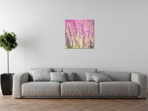 Obraz na plátně Krásné levandule Velikost: 70 x 50 cm