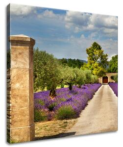 Gario Obraz na plátně Cesta v Provence Velikost: 30 x 30 cm