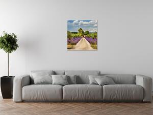 Gario Obraz na plátně Cesta v Provence Velikost: 115 x 55 cm