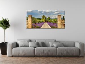 Gario Obraz na plátně Cesta v Provence Velikost: 115 x 55 cm