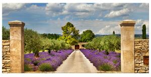 Gario Obraz na plátně Cesta v Provence Velikost: 100 x 40 cm