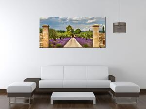 Gario Obraz na plátně Cesta v Provence Velikost: 60 x 40 cm