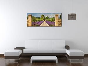 Gario Obraz na plátně Cesta v Provence Velikost: 30 x 20 cm