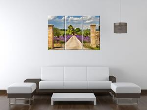 Gario 3 dílný obraz na plátně Cesta v Provence Velikost: 90 x 30 cm