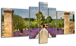 Gario 5 dílný obraz na plátně Cesta v Provence Velikost: 160 x 80 cm