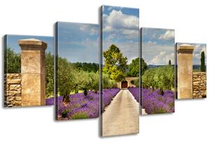 Gario 5 dílný obraz na plátně Cesta v Provence Velikost: 125 x 70 cm