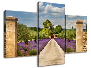 Gario 3 dílný obraz na plátně Cesta v Provence Velikost: 90 x 60 cm