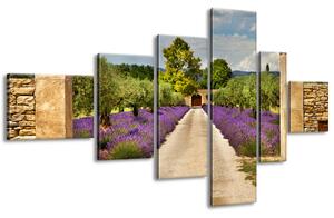 Gario 6 dílný obraz na plátně Cesta v Provence Velikost: 180 x 100 cm