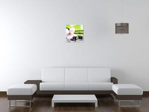 Obraz na plátně Bílá orchidej a kameny Rozměry: 90 x 60 cm