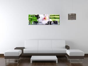Obraz na plátně Bílá orchidej a kameny - 3 dílný Rozměry: 90 x 30 cm