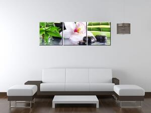 Obraz na plátně Bílá orchidej a kameny - 3 dílný Rozměry: 30 x 90 cm