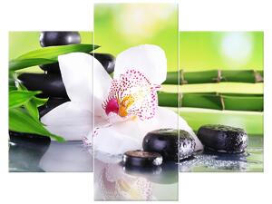 Obraz na plátně Bílá orchidej a kameny - 3 dílný Rozměry: 90 x 30 cm