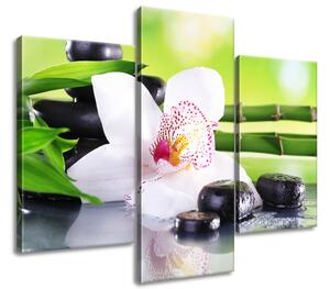 Obraz na plátně Bílá orchidej a kameny - 3 dílný Rozměry: 30 x 90 cm