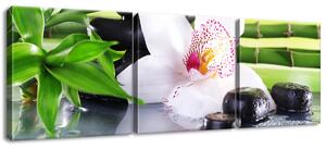 Gario Obraz na plátně Bílá orchidej a kameny Velikost: 90 x 30 cm