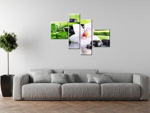 Obraz na plátně Bílá orchidej a kameny - 4 dílný Rozměry: 120 x 70 cm