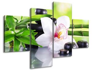 Obraz na plátně Bílá orchidej a kameny - 4 dílný Rozměry: 120 x 70 cm