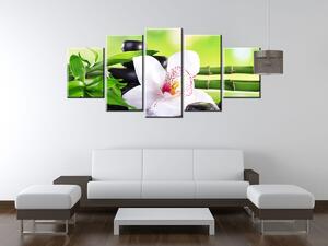 Obraz na plátně Bílá orchidej a kameny - 5 dílný Velikost: 100 x 63 cm