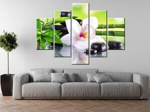 Obraz na plátně Bílá orchidej a kameny - 5 dílný Velikost: 100 x 63 cm