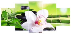 Obraz na plátně Bílá orchidej a kameny - 5 dílný Rozměry: 150 x 70 cm