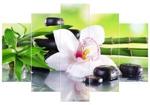 Obraz na plátně Bílá orchidej a kameny - 5 dílný Rozměry: 150 x 70 cm