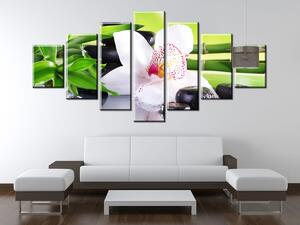 Obraz na plátně Bílá orchidej a kameny - 7 dílný Rozměry: 210 x 100 cm