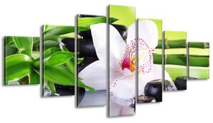 Obraz na plátně Bílá orchidej a kameny - 7 dílný Velikost: 210 x 100 cm