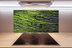 Dekorační panel sklo Kůra stromu pl-pksh-100x50-f-61855396