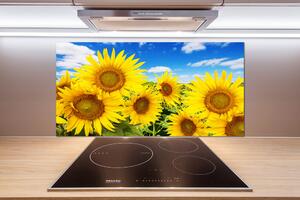 Dekorační panel sklo Slunečníky pl-pksh-100x50-f-62796944
