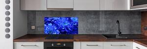 Panel do kuchyně Modrá astra pl-pksh-100x50-f-64208626