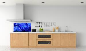 Panel do kuchyně Modrá astra pl-pksh-100x50-f-64208626