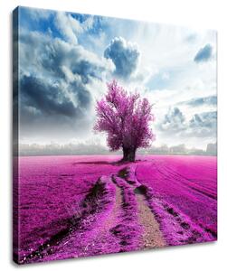 Obraz na plátně Strom na fialovém poli Rozměry: 120 x 80 cm