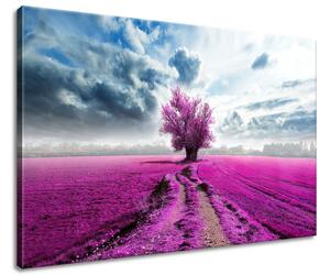 Obraz na plátně Strom na fialovém poli Rozměry: 120 x 80 cm