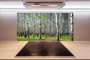 Dekorační panel sklo Břízový les pl-pksh-100x50-f-64516023