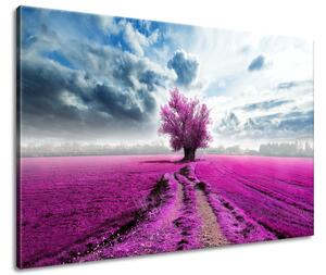 Obraz na plátně Strom na fialovém poli Velikost: 120 x 80 cm