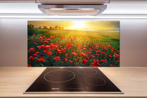Dekorační panel sklo Pole máků pl-pksh-100x50-f-65609711