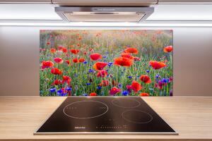 Dekorační panel sklo Plolní květiny pl-pksh-100x50-f-65959167
