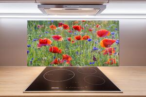 Dekorační panel sklo Plolní květiny pl-pksh-100x50-f-65958845