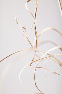 Fotografie Dried Grass Grey 02, Studio Collection, (26.7 x 40 cm)