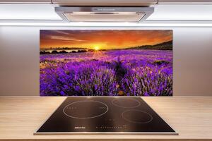 Dekorační panel sklo Pole levandule pl-pksh-100x50-f-66255723