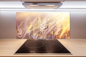 Dekorační panel sklo Vysoká tráva pl-pksh-100x50-f-66866961