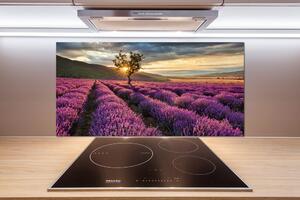 Dekorační panel sklo Pole levandule pl-pksh-100x50-f-67085325