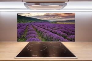 Dekorační panel sklo Pole levandule pl-pksh-100x50-f-67657523