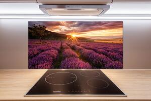 Dekorační panel sklo Pole levandule pl-pksh-100x50-f-68209726