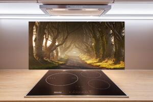 Dekorační panel sklo Mlha v lese pl-pksh-100x50-f-68778372