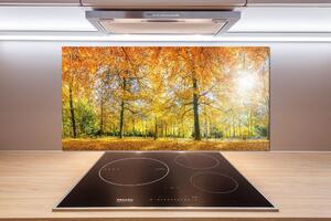 Dekorační panel sklo Podzimní les pl-pksh-100x50-f-70578437