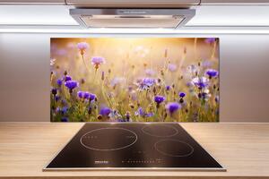 Dekorační panel sklo Plolní květiny pl-pksh-100x50-f-70602610